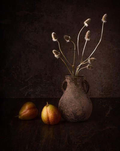 Pêras escuras e flores de Margareth Perfoncio