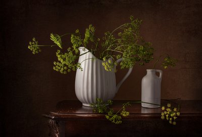 Natureza morta com flores de endro de Margareth Perfoncio