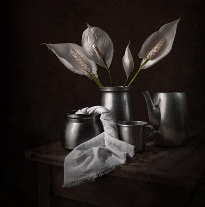 Lírios da Paz Elegantes de Margareth Perfoncio