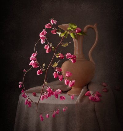 Natureza morta rosa elegante de Margareth Perfoncio