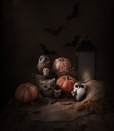 Corujas e abóboras de Halloween de Margareth Perfoncio