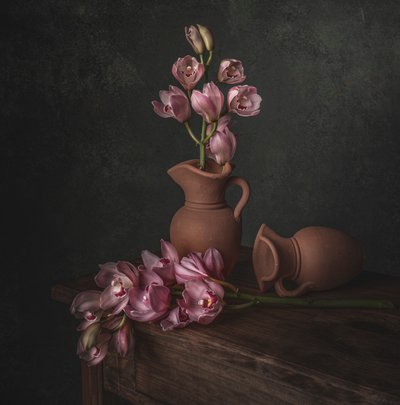 Natureza morta com orquídea rosa melancólica de Margareth Perfoncio