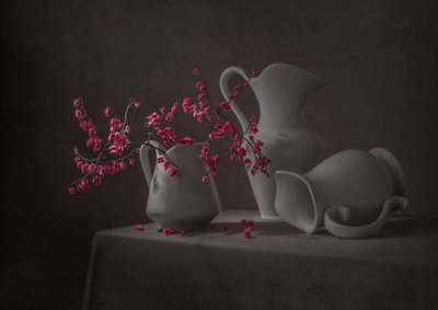 Flores cor-de-rosa e jarros brancos de Margareth Perfoncio