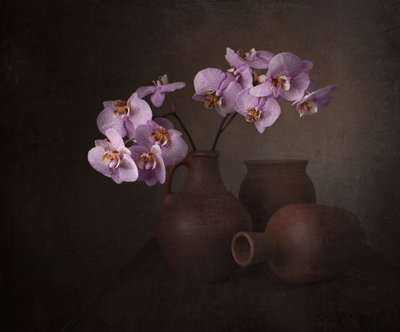 Natureza morta com orquídea roxa de Margareth Perfoncio