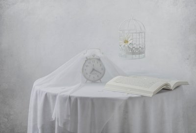 Relógio Serene com livro e gaiola de pássaros de Margareth Perfoncio