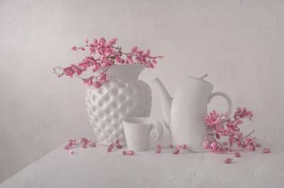 Natureza morta em rosa suave de Margareth Perfoncio