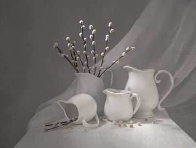 Jarras de salgueiro da primavera de Margareth Perfoncio