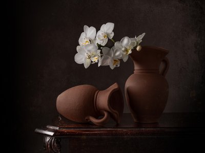 Natureza morta com orquídeas brancas de Margareth Perfoncio
