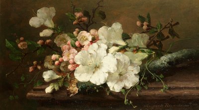 Margaretha Roosenboom - Natureza morta com flor de Margaretha Roosenboom