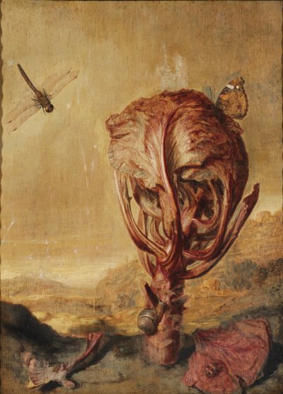 Um repolho roxo, um caracol, uma borboleta, uma libélula, uma abelha e um piolho de madeira em uma paisagem de Margarethe de Heer