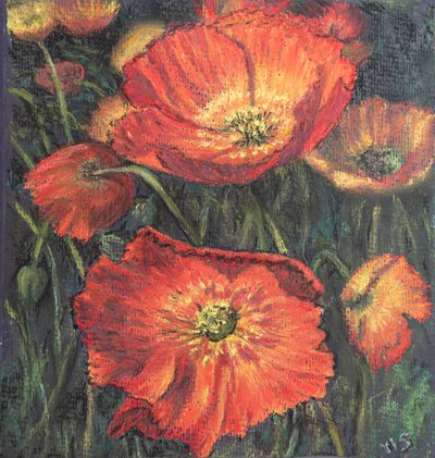 Primeiras papoulas, 2020 (pastel) de Margo Starkey