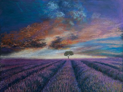 Campos de lavanda da Normandia, 2020 (pastel) de Margo Starkey