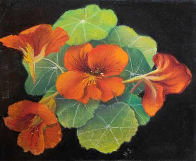 Chagas, 2020 (pastel) de Margo Starkey