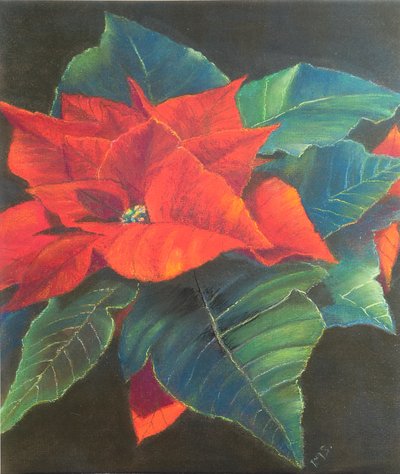 Poinsétia, 2022 (pastel) de Margo Starkey