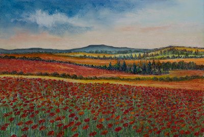 Campos de papoula..Flanders, 2020 (pastel) de Margo Starkey