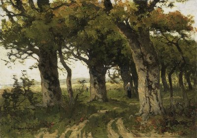 Avenida Oak, no final do verão. 1880-1900 de Maria Bilders-van Bosse