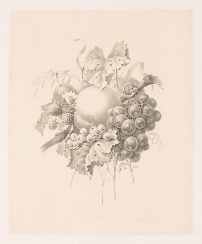 Composição de frutas de Maria Geertruida de Goeje Barbiers (attributed to)