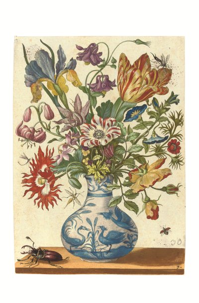 Prato do Blumenbuch (gravura colorida à mão) de Maria Sibylla Graff Merian