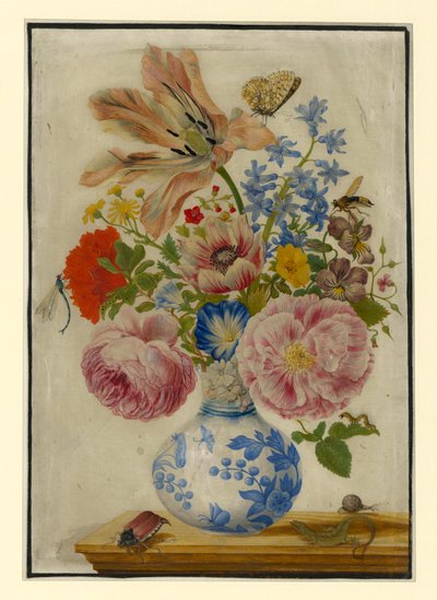 Vaso chinês com rosas, papoilas e cravos de Maria Sibylla Merian