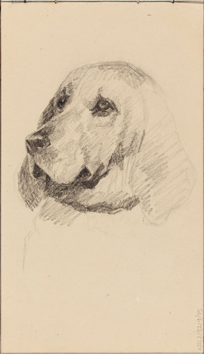 Cabeça de um cão de Maria Wiik