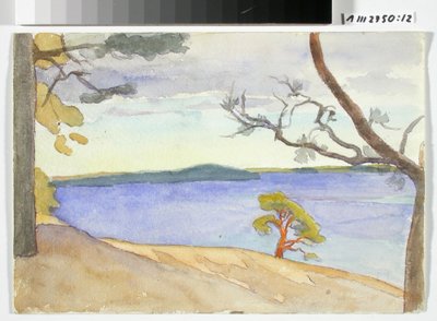 Paisagem costeira de Maria Wiik