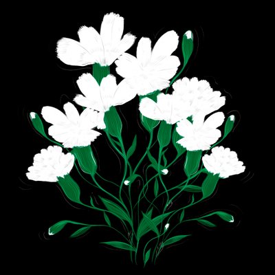 Cravos brancos, 2020 de Marianna Kulukundis