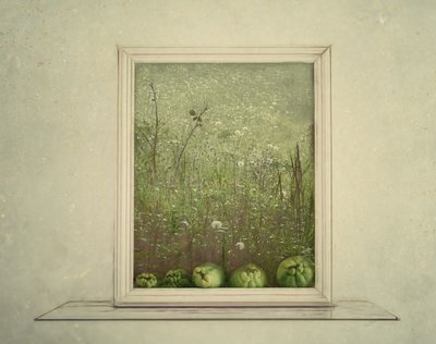  de Marie-anne Stas