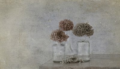  de Marie-anne Stas