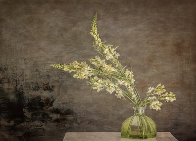 Natureza morta floral rústica de Marie-anne Stas