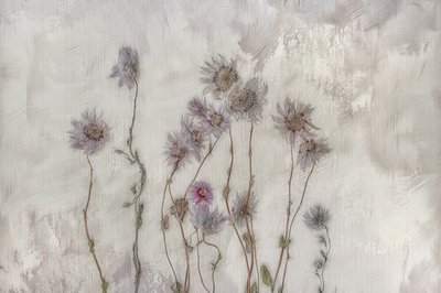 Flores em tons pastel suaves de Marie-anne Stas