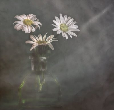 Margaridas serenas na névoa de Marie-anne Stas