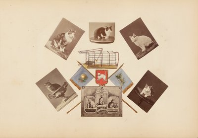 O álbum Madame B de Marie-Blanche-Hennelle Fournier