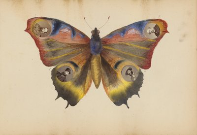 O álbum de Madame B de Marie-Blanche-Hennelle Fournier