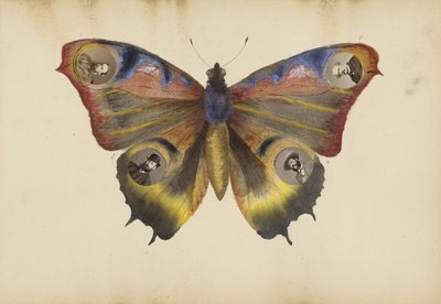 O álbum Madame B, década de 1870 de Marie-Blanche-Hennelle Fournier