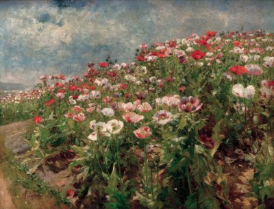 Papoila em flor, motivo de São Georgen perto de Melk. de Marie Egner