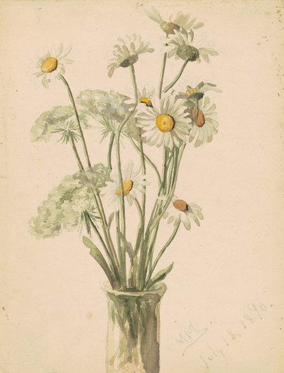 Daisies e Queen Anns Lace em um vaso, 1890 (aguarela e grafite em papel wove) de Marietta Minnegerode Andrews