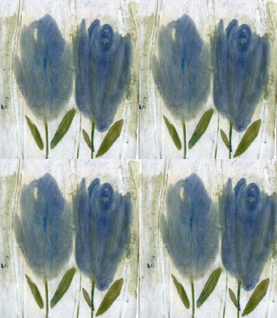 Tulipas azuis de Marina Falco
