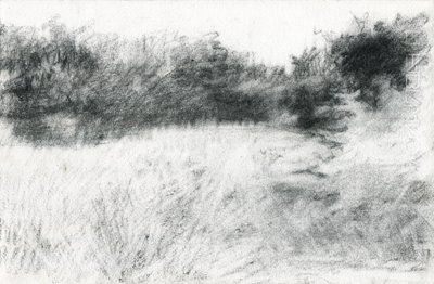 Paisagem, 2021 (carvão sobre papel) de Marina Falco