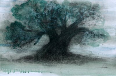 Olive Tree, 2023 (óleo e carvão sobre papel) de Marina Falco