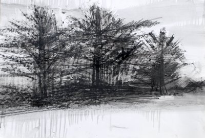 Árvores, 2023 (óleo e carvão sobre papel) de Marina Falco