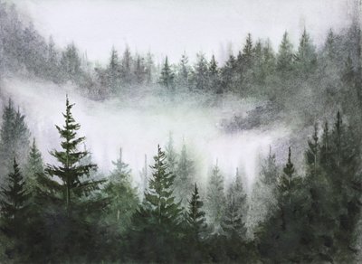 Serenidade da floresta enevoada de Marina Kozyr