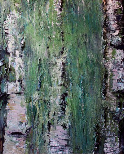 Casca de bétula coberta de musgo verde de Marina Nelson