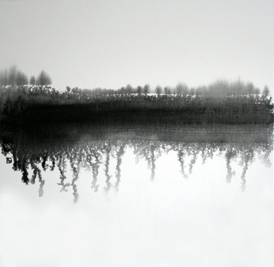 Reflexão na Floresta Monocromática de Marina Nelson