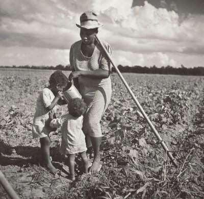 Mulher negra a dar de beber aos filhos no campo onde está a sachar algodão num projeto cooperativo da FSA (Allen Plantation) de Marion Post Wolcott
