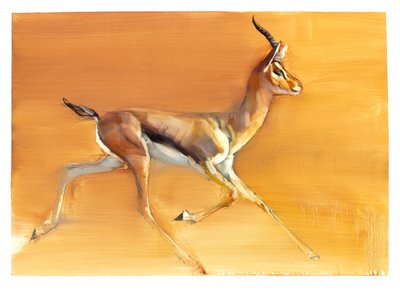 Gazela Árabe, 2010 (óleo sobre papel) de Mark Adlington