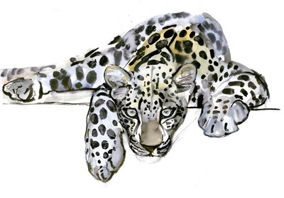 Leopardo Árabe, 2008 de Mark Adlington