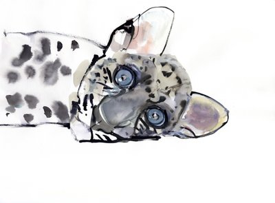 Leopardo Árabe, 2008 de Mark Adlington