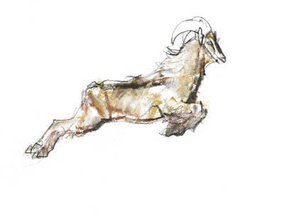 Árabe Tahr, 2009 (conte und charcoal on paper) de Mark Adlington