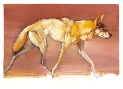 Lobo Árabe, 2010 (óleo sobre papel) de Mark Adlington
