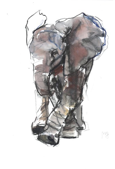 Estudo do Elefante Bebê, 2018 de Mark Adlington